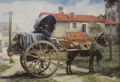 Outskirts of Rome, Cart Driver Transporting Wine by European Photographer